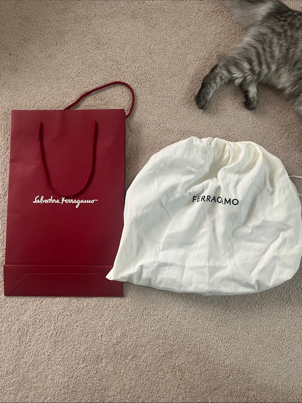 Salvatore Ferragamo Leather Shoulder Bag with Gold Gancini- Worn only twice - Picture 10 of 10